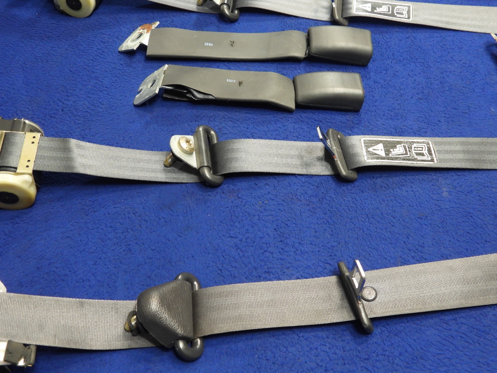 01 2001 Ford Mustang DK Charcoal Coupe Seatbelt Seatbelts OEM B64
