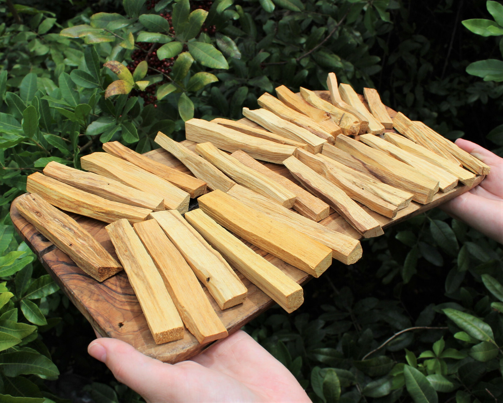 Bulk 2 lb Lot of Palo Santo Wood Sticks (Holy Wood Incense Cleansing Blessing)