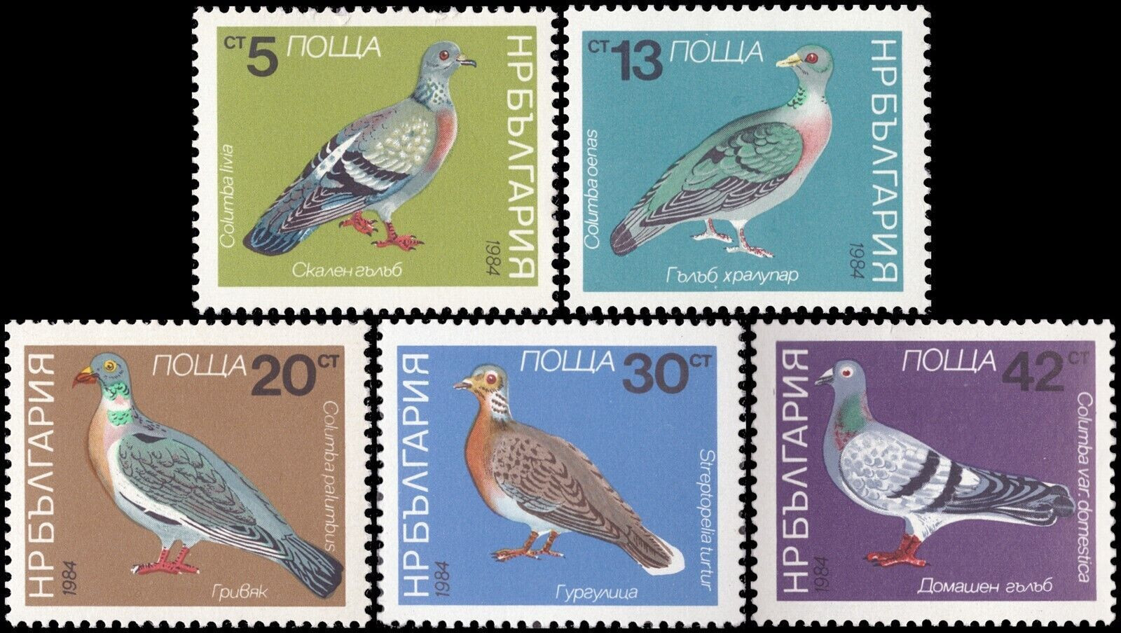 Bulgaria # 2974 - 2978 Birds - Pigeons 1984 Mint Never Hinged complete Set