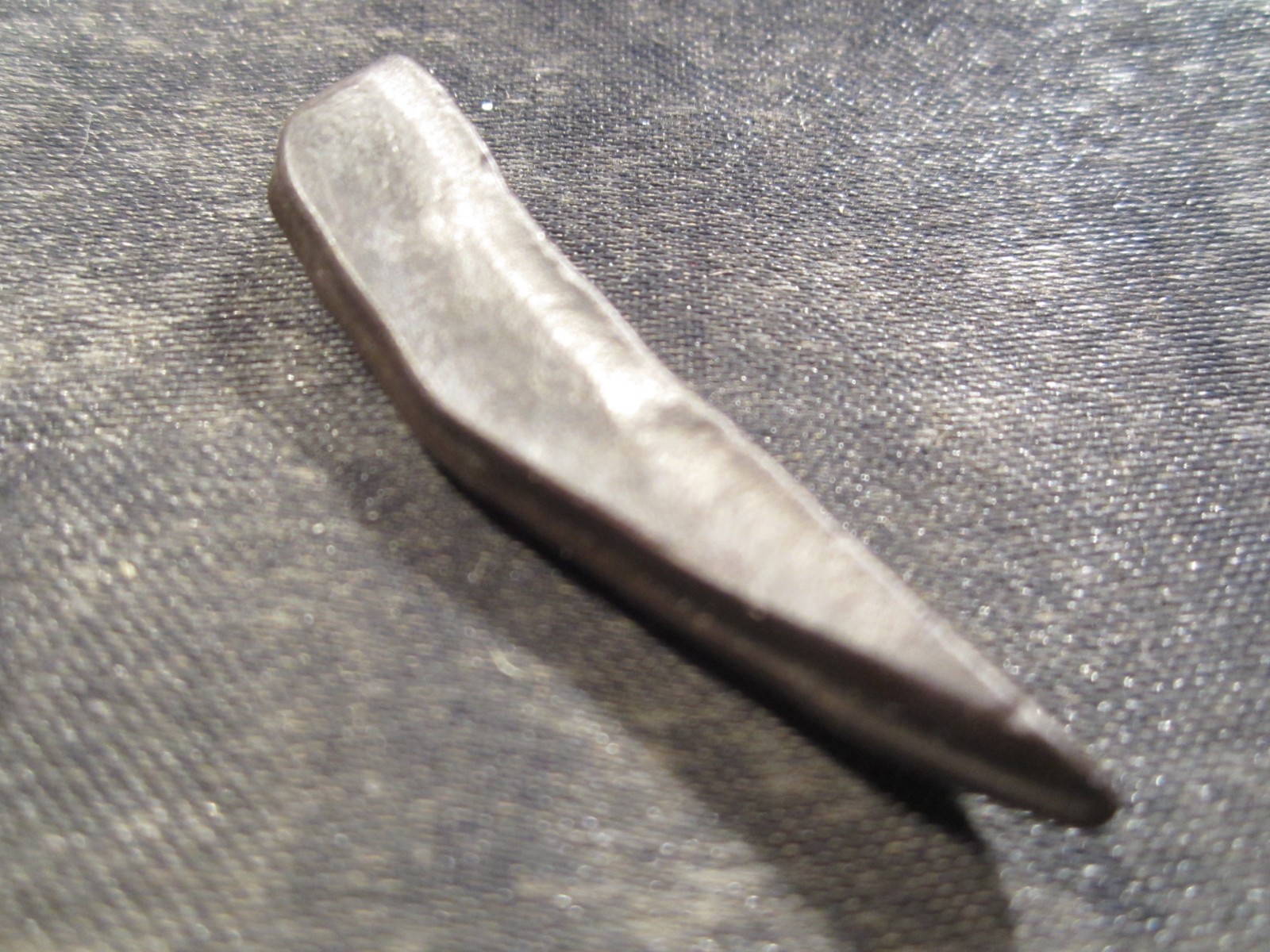 Fossilized Mammal Tooth Venice, Florida