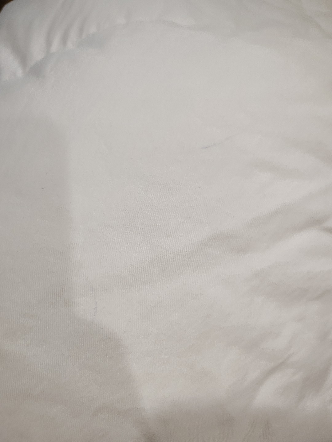 Parachute King/Cal King Lightweight Down Quilt/Duvet Insert