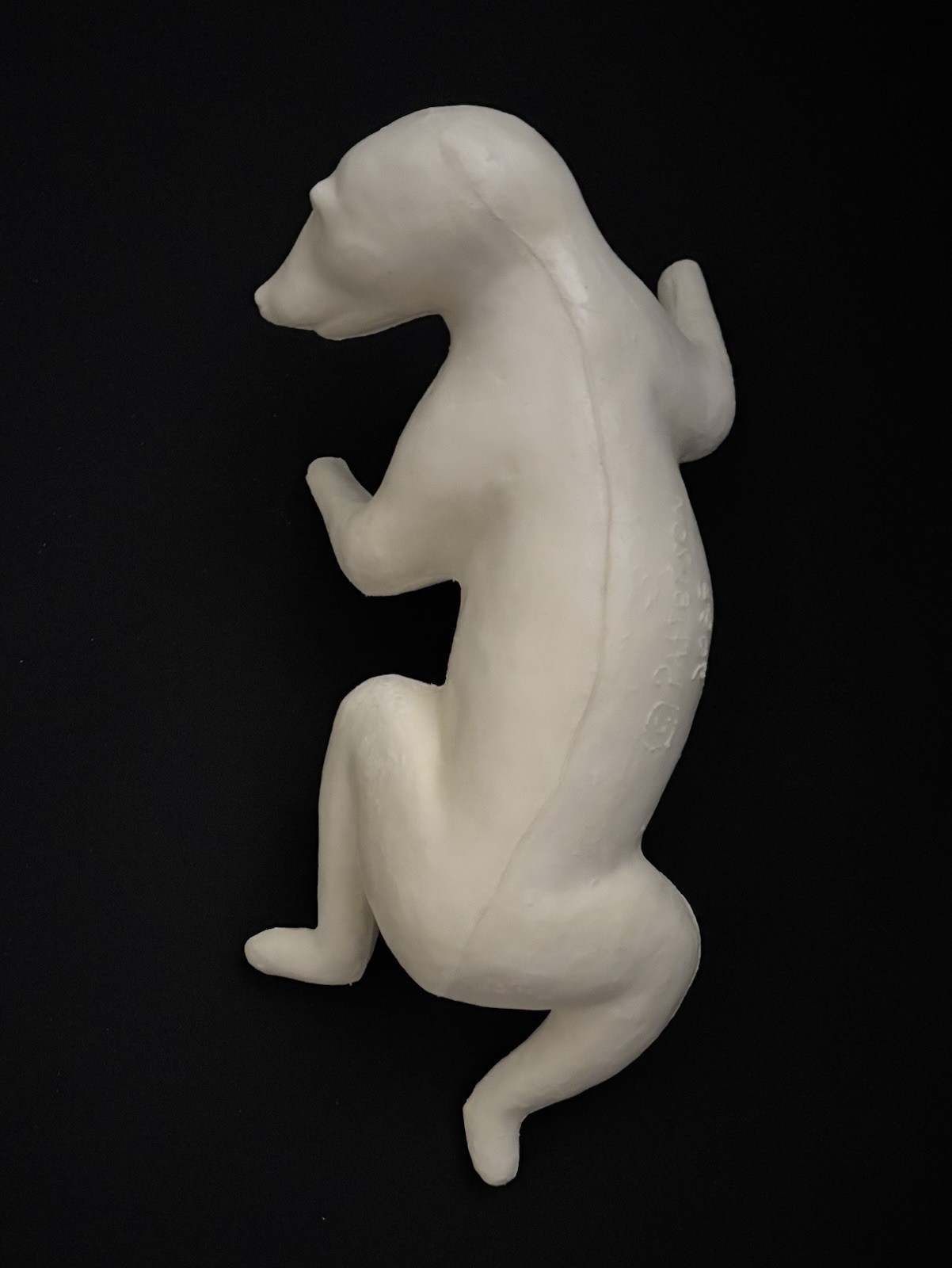 Taxidermy Form Raccoon Climbing Up Left Turn Closed Mouth 1 3/4 X 13 1/2 X 21