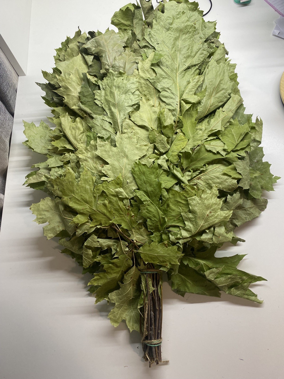 10 Oak with herbs lin brooms sauna banya venik Eiche whisks eco 2025 Ukrainian