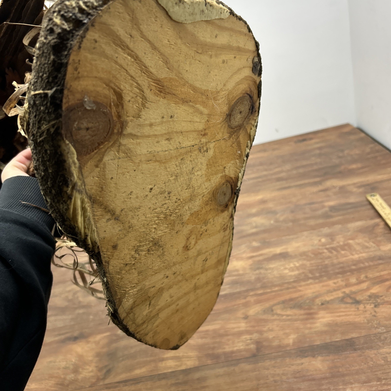 Ringneck Rooster Pheasant Taxidermy Standing Mount Habitat Base Foliage Wood