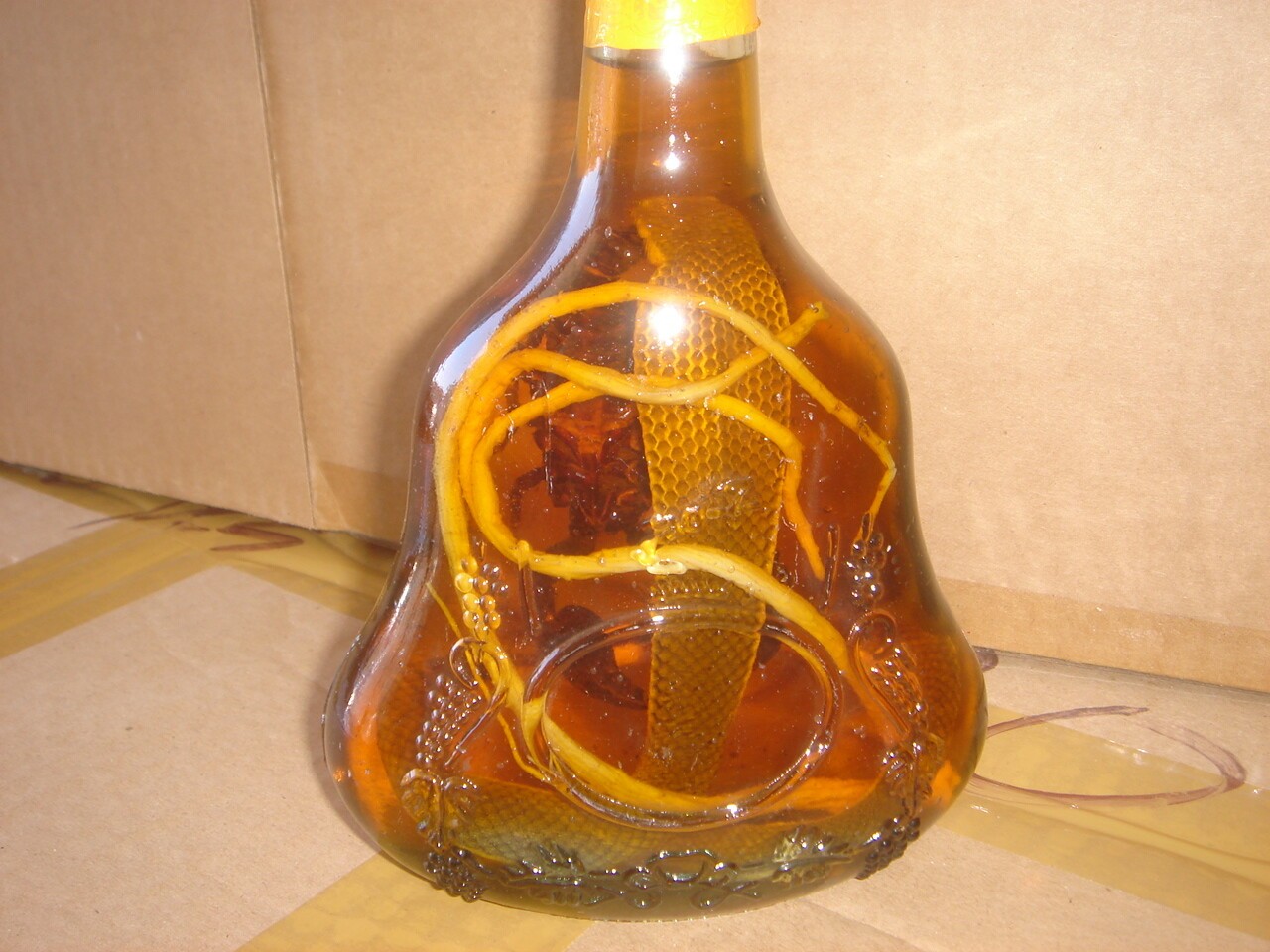 Real Cobra Snake And Scorpion In Large X O Glass Bottle 7" Tall