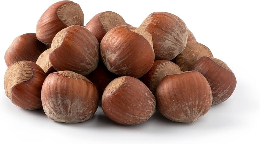 American Grown Raw Hazelnuts In Shell 5LB Large Whole Filberts Bulk