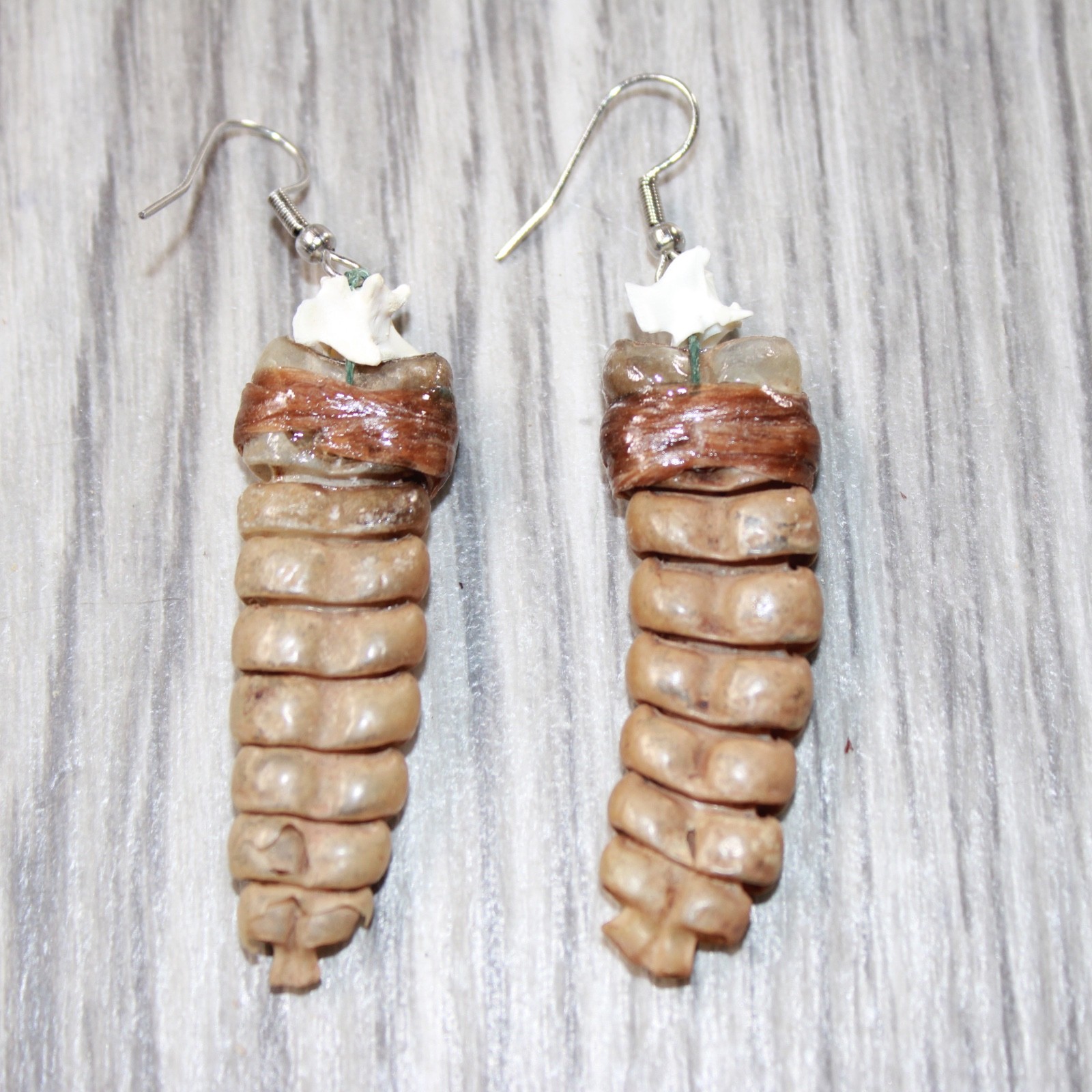 Large Rattlesnake Rattle Earrings  #4963  Mountain Man Earrings