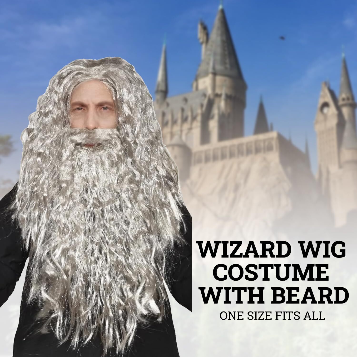 Wizard Wig Costume with Beard Included - One Size Fits All - Grey Color with ...