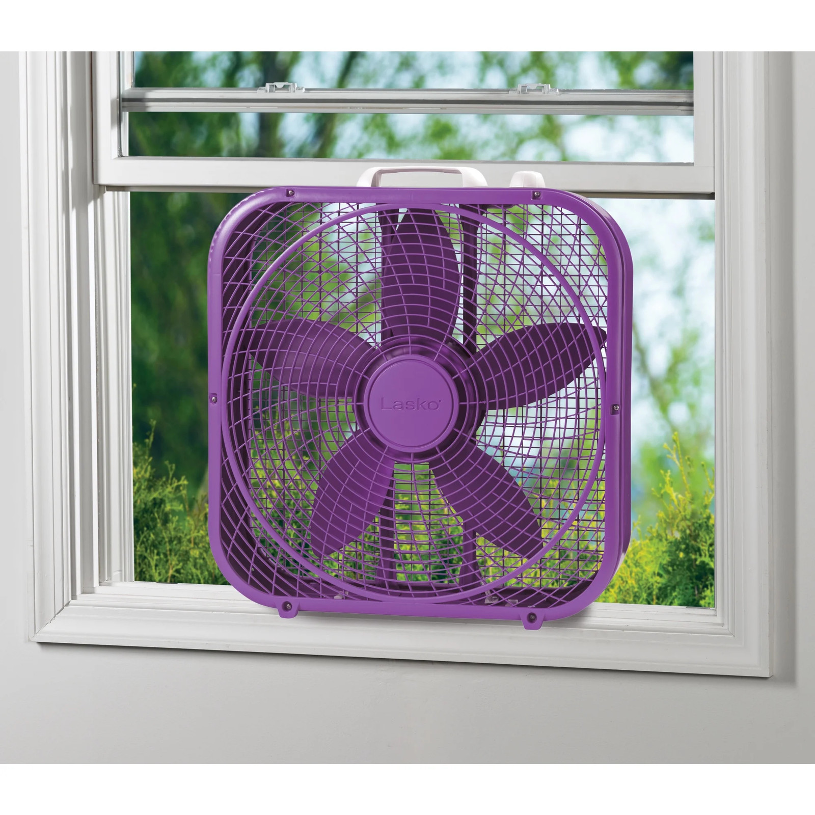 Cool Colors 20" 3-Speed Weather Resistant, Energy Efficient Box Fan, B20309, Pur