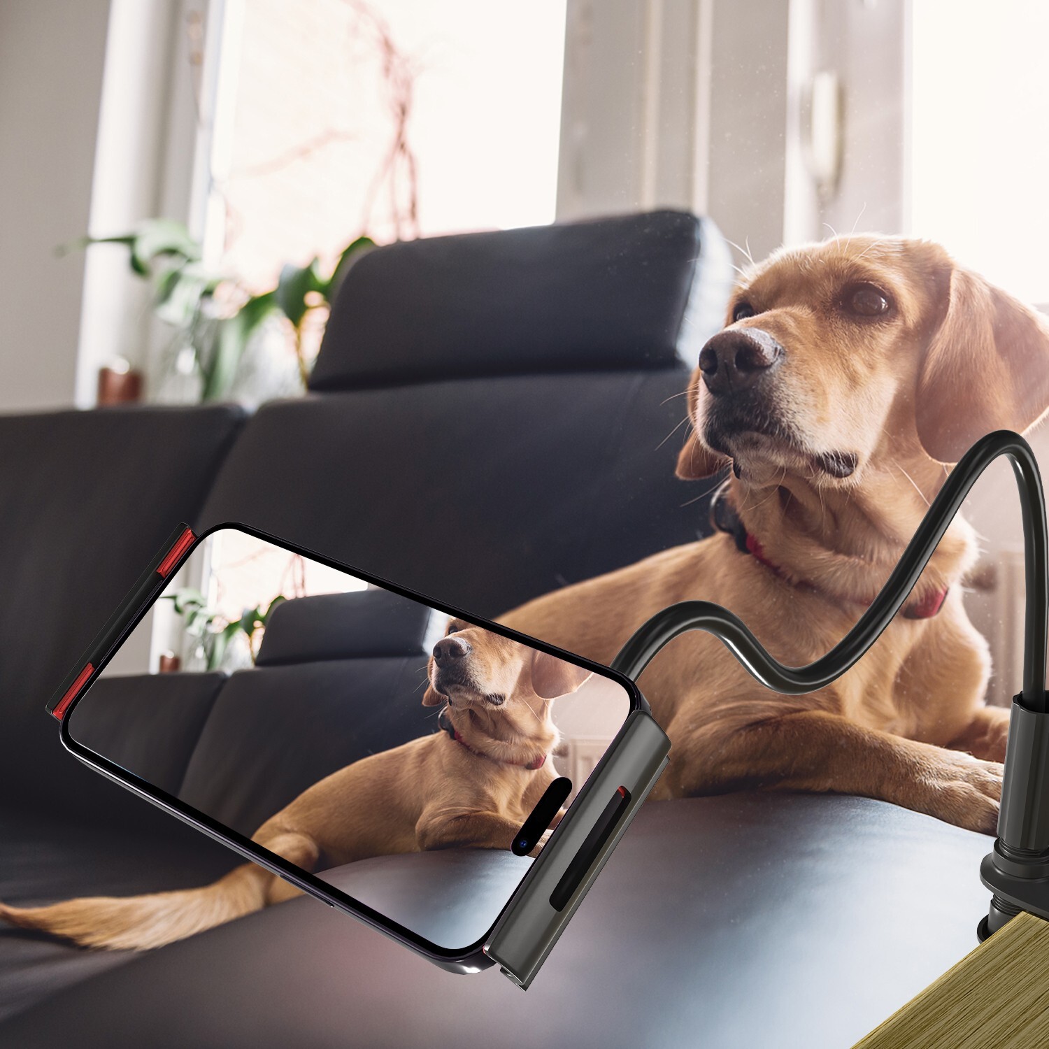 Flexible Gooseneck Tablet Holder - Long Arm Clamp for Desk, Bed & Versatile Use