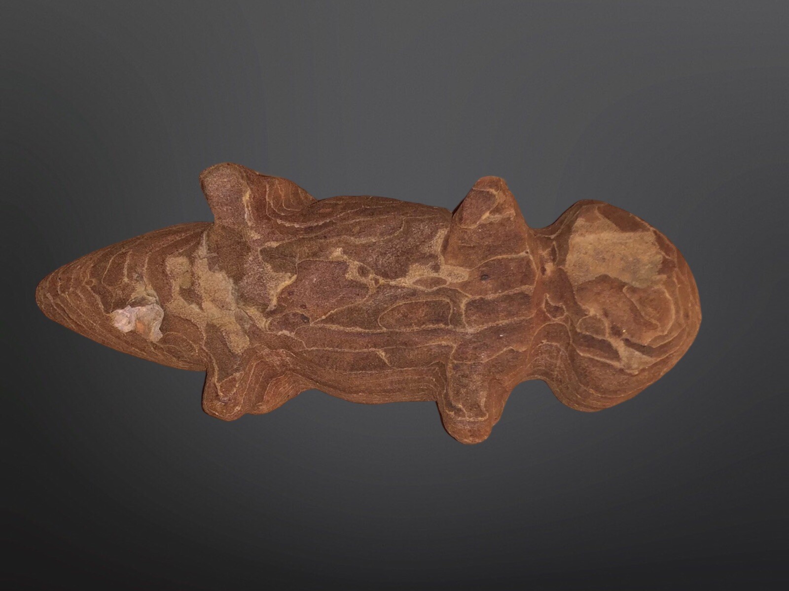 Circa 1910 Native American Tarahumara Carved Wood Lizard Fetish