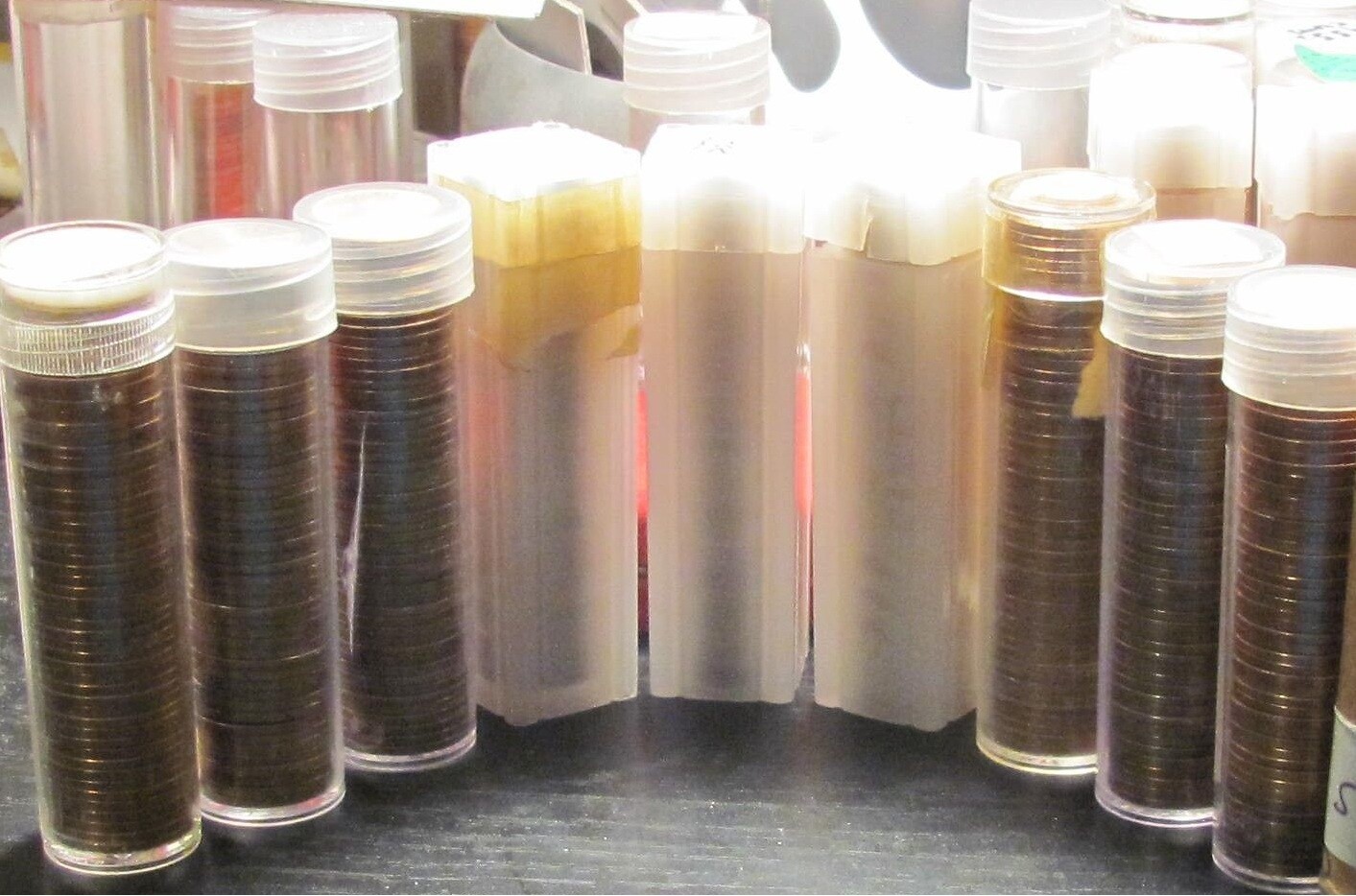 GRAB BAG WITH ONE PR69 PCGS GRADED SLABBED COIN AND 61 OTHER COINS #NB1