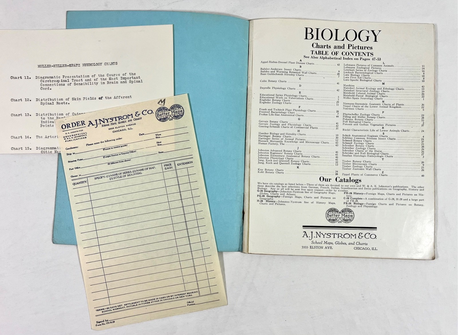 Rare 1928 A.J Nystrom Sales Catalog FB-28 Europe Charts Biology Medical Anatomy