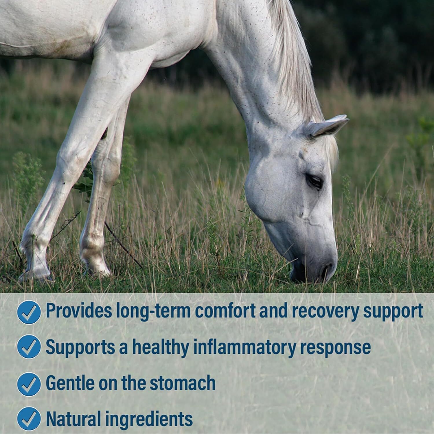 Bute-Less Comfort & Recovery Supplement Pellets, Healthy Inflammatory Response,