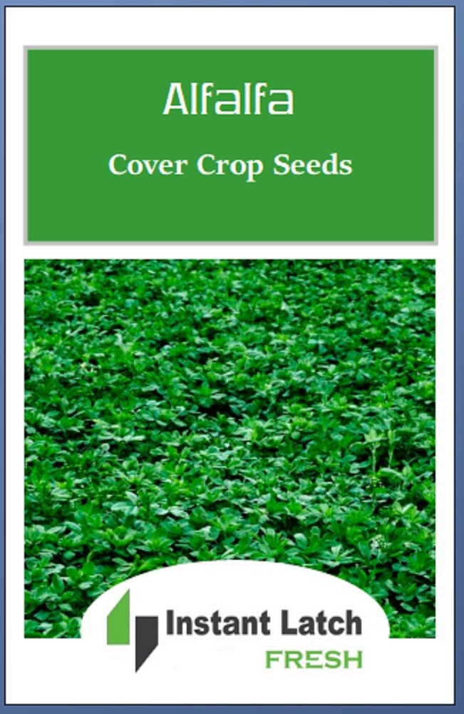 Alfalfa Cover Crop Seeds | NON-GMO | Heirloom | Fresh Garden Seeds