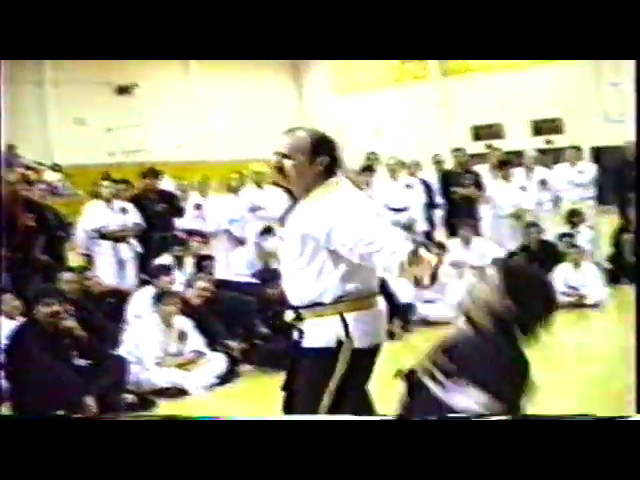 GM Fred Villari Seminar Shaolin Kempo Karate Seminar 90 | Martial Art | Kung Fu