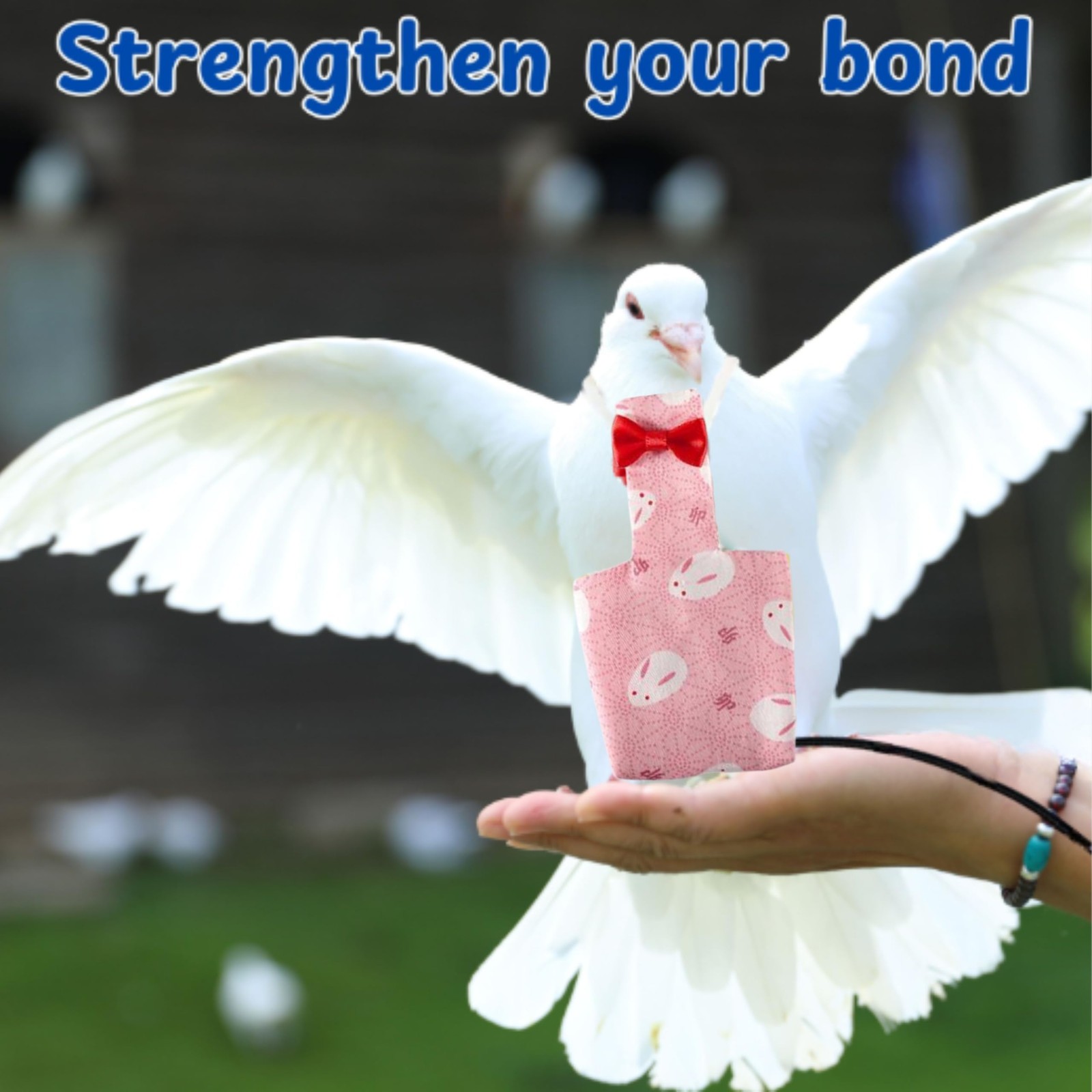 Pigeon Diaper Harness and Bird Leash Set, Birds Diapers for Pigeons and Leash...