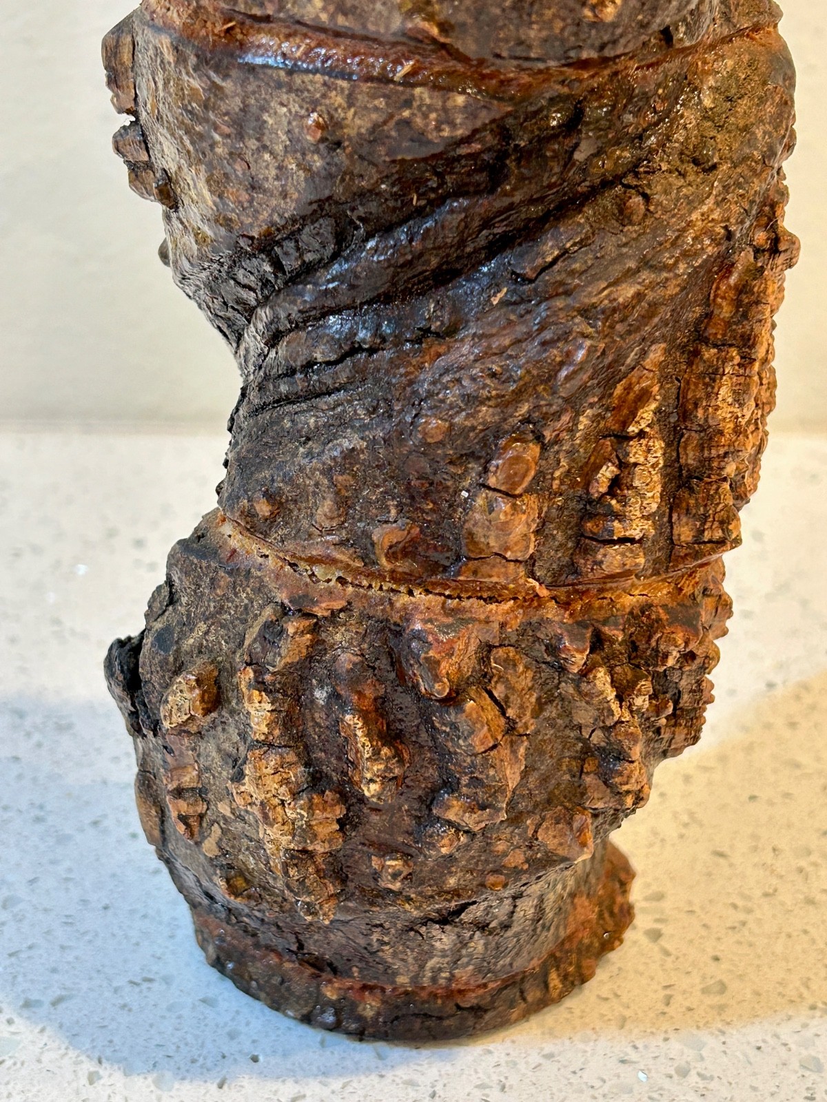 Burl Wood Bottle with Branch Handle from Parque Georgia Brazil - RARE Unusual!