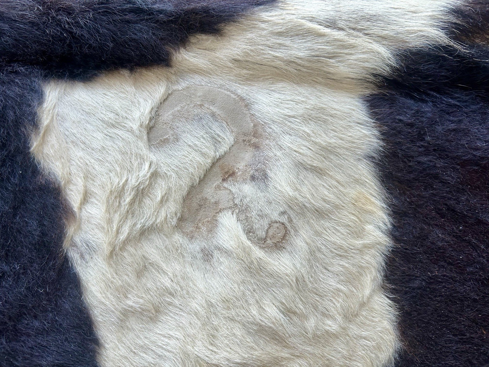 Vintage 1970 cowhide rugs, real, Not Reproduction Hides, Black And White