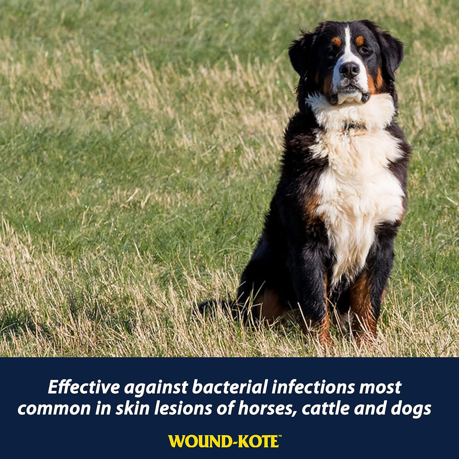 Wound-Kote Blue Lotion Spray Horse Wound Care for Use on Horses and Dogs