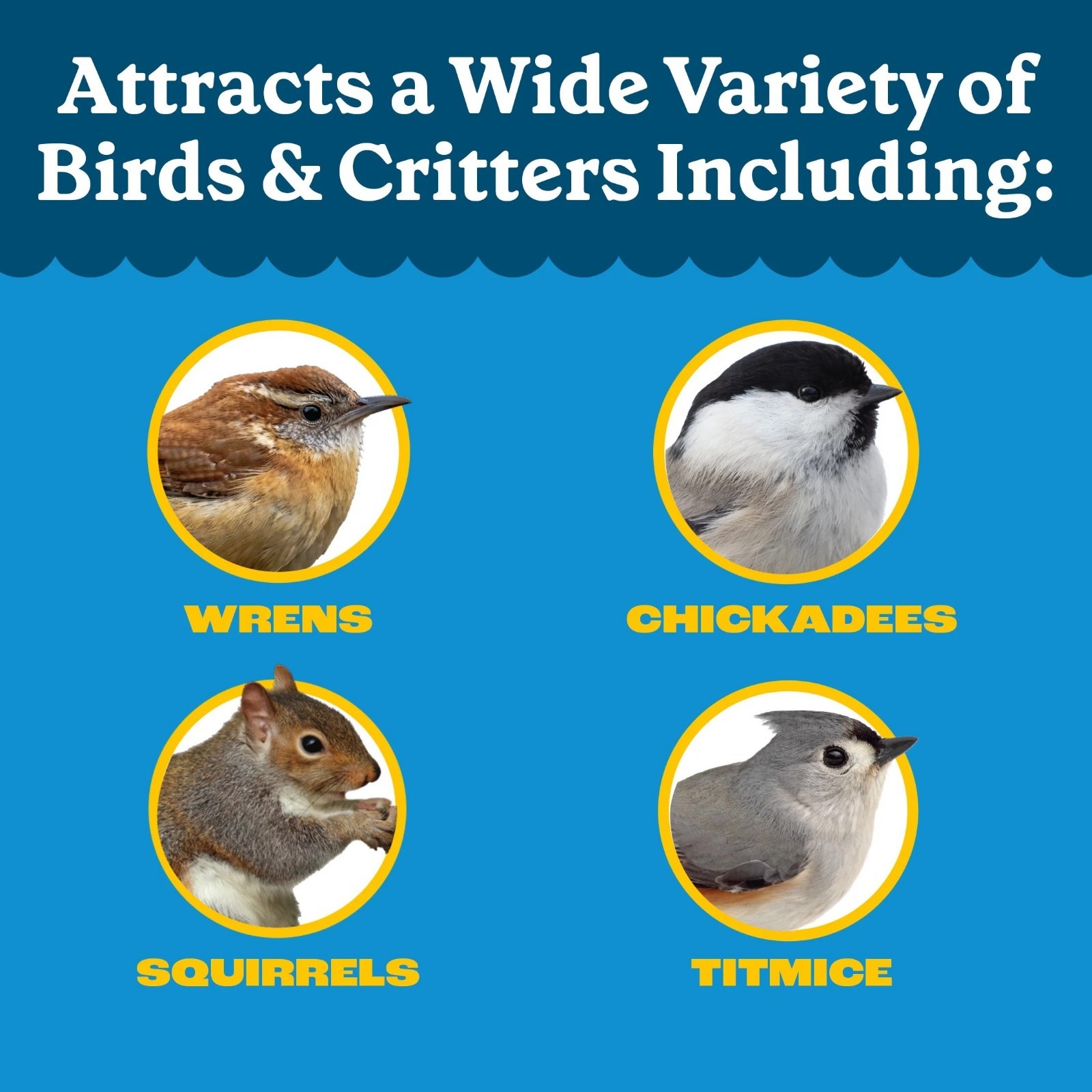 Pennington Shelled Peanuts Wildlife and Wild Bird Food, 5 lb. Bag, 1 Pack, Dry