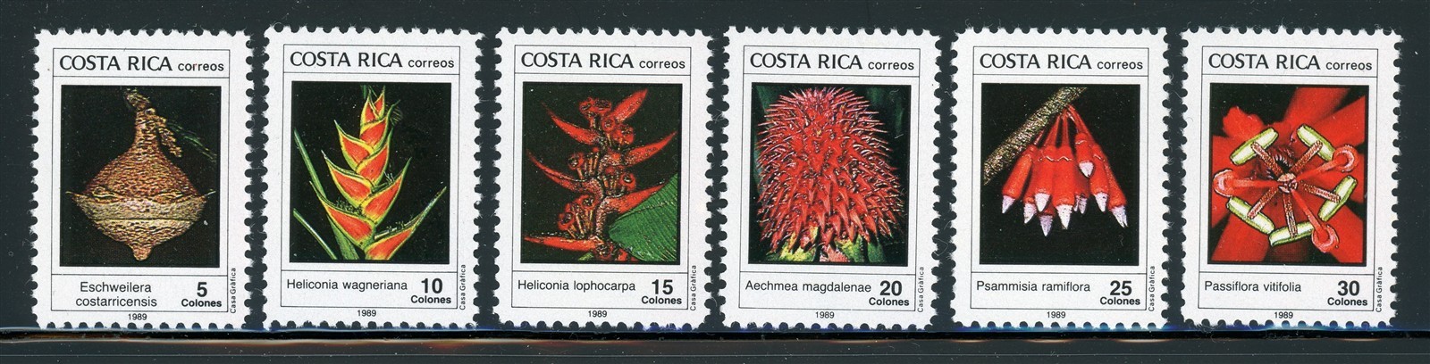 COSTA RICA MNH: Scott #410-415 Indigenous Flora #1 CV$10+