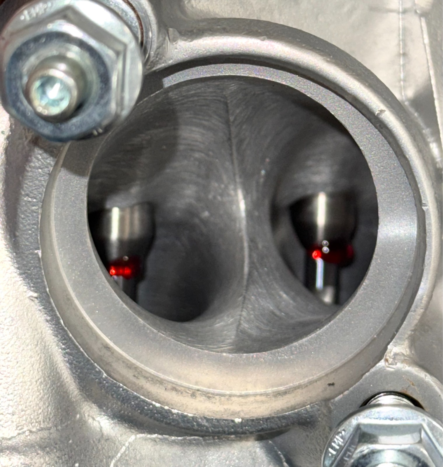 04 05 Honda TRX450R TRX 450R Race Ported Head Kibblewhite Springs Ferrea Valves