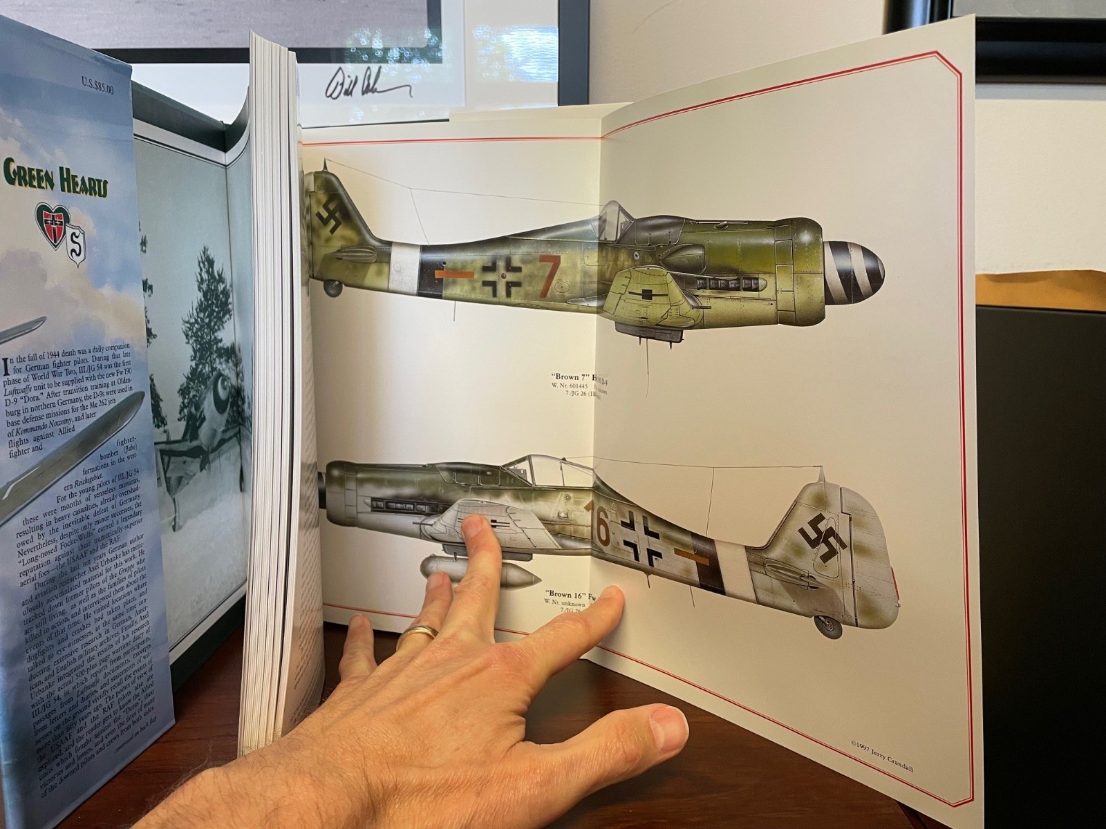 Green Hearts Dora 9 JG 54 & 26 Luftwaffe WWII SIGNED!!!!!