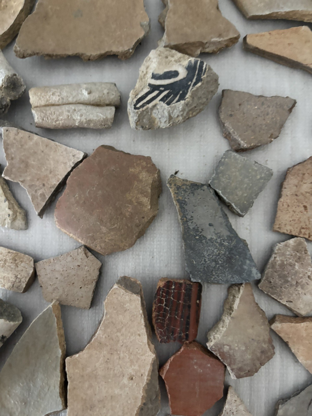 30+ Ancient Anasazi Native American Pottery Shards Arizona L10-C FREE SHIP