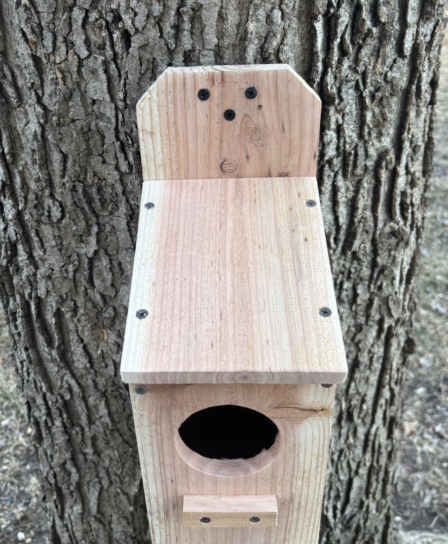 Large Cedar Owl Nesting Box House Screech Saw Whet Owl For Tree Fully Installed