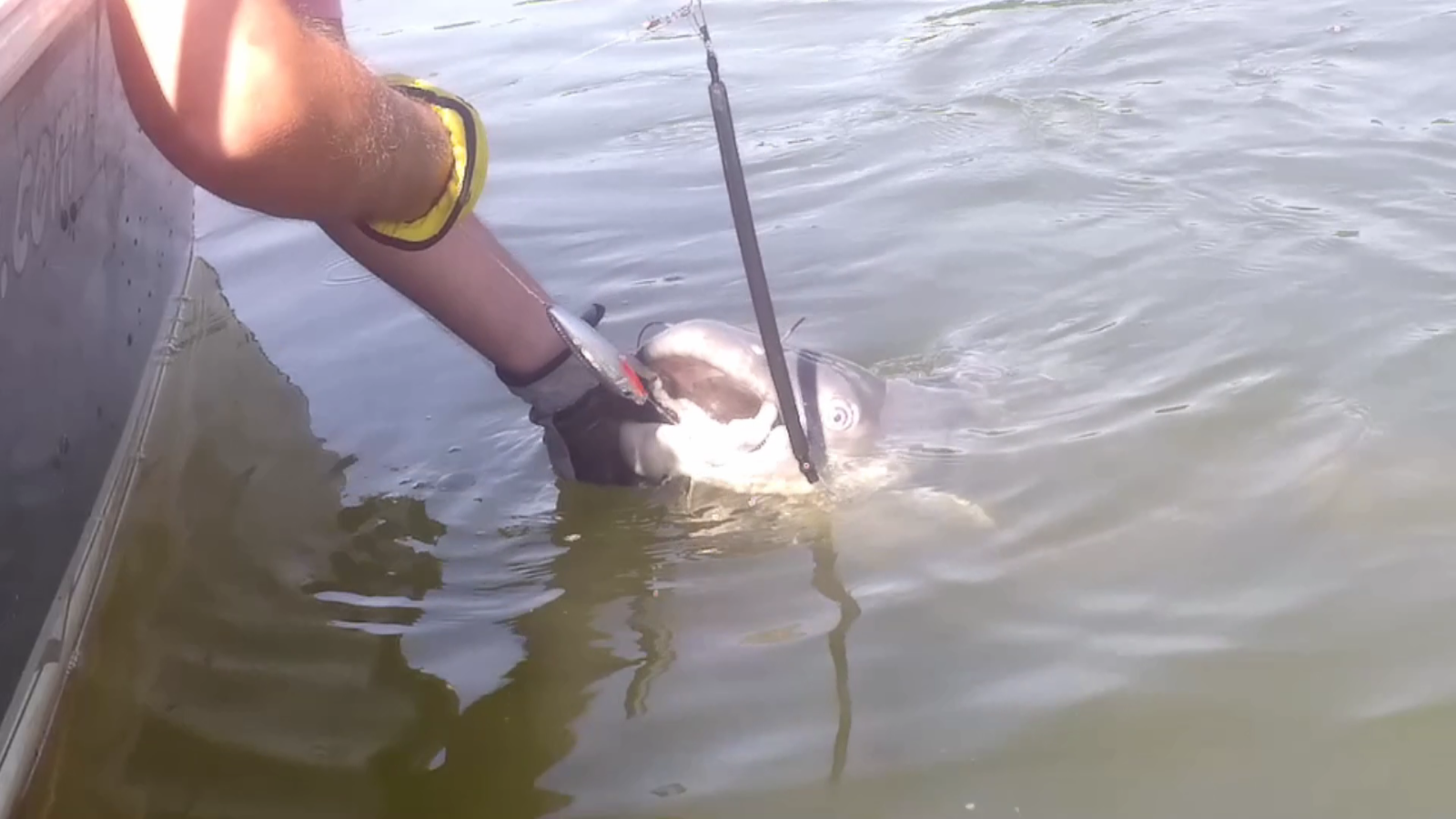 Dragging Drift Sinkers Snagless Weights Catfish 2oz