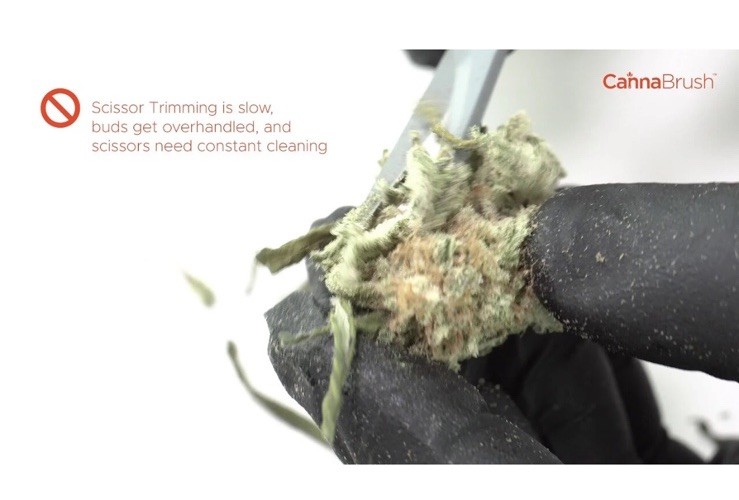 CannaBrush Trimming Brush Ergonomic Hand Brush for Leaf Removal FAST & EFFECTIVE