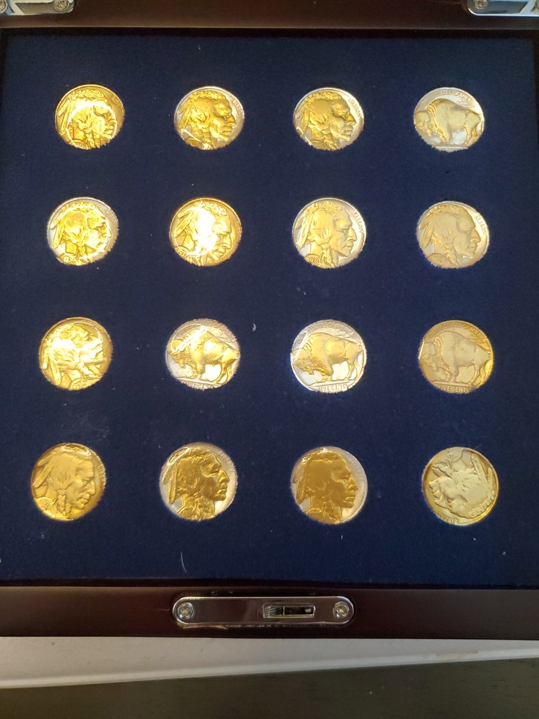 Dan banbury gold and silver Buffalo nickel collection