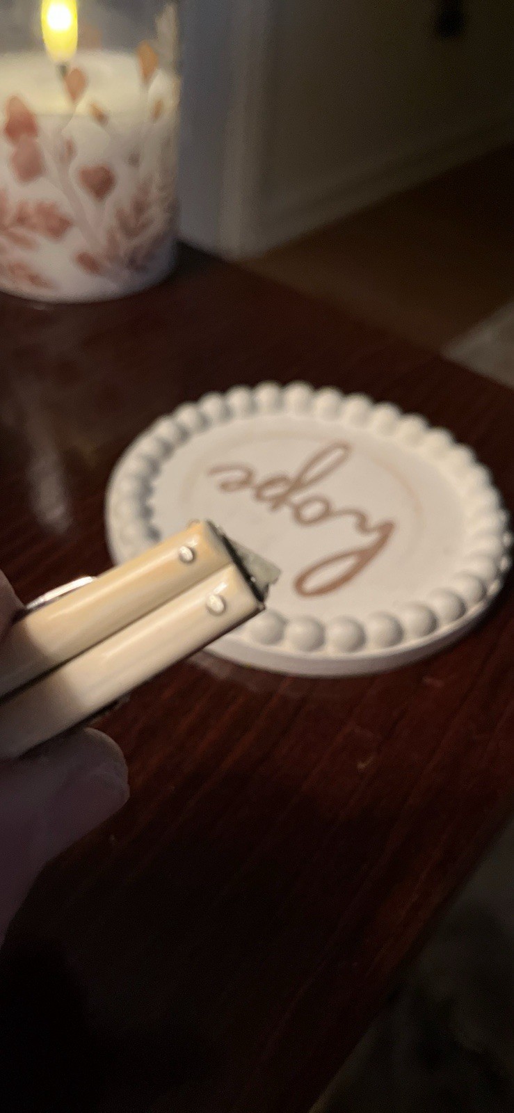 E. ZINN Germany Small Multi Tool Pearl Handles Original Packaging Early 1900’s