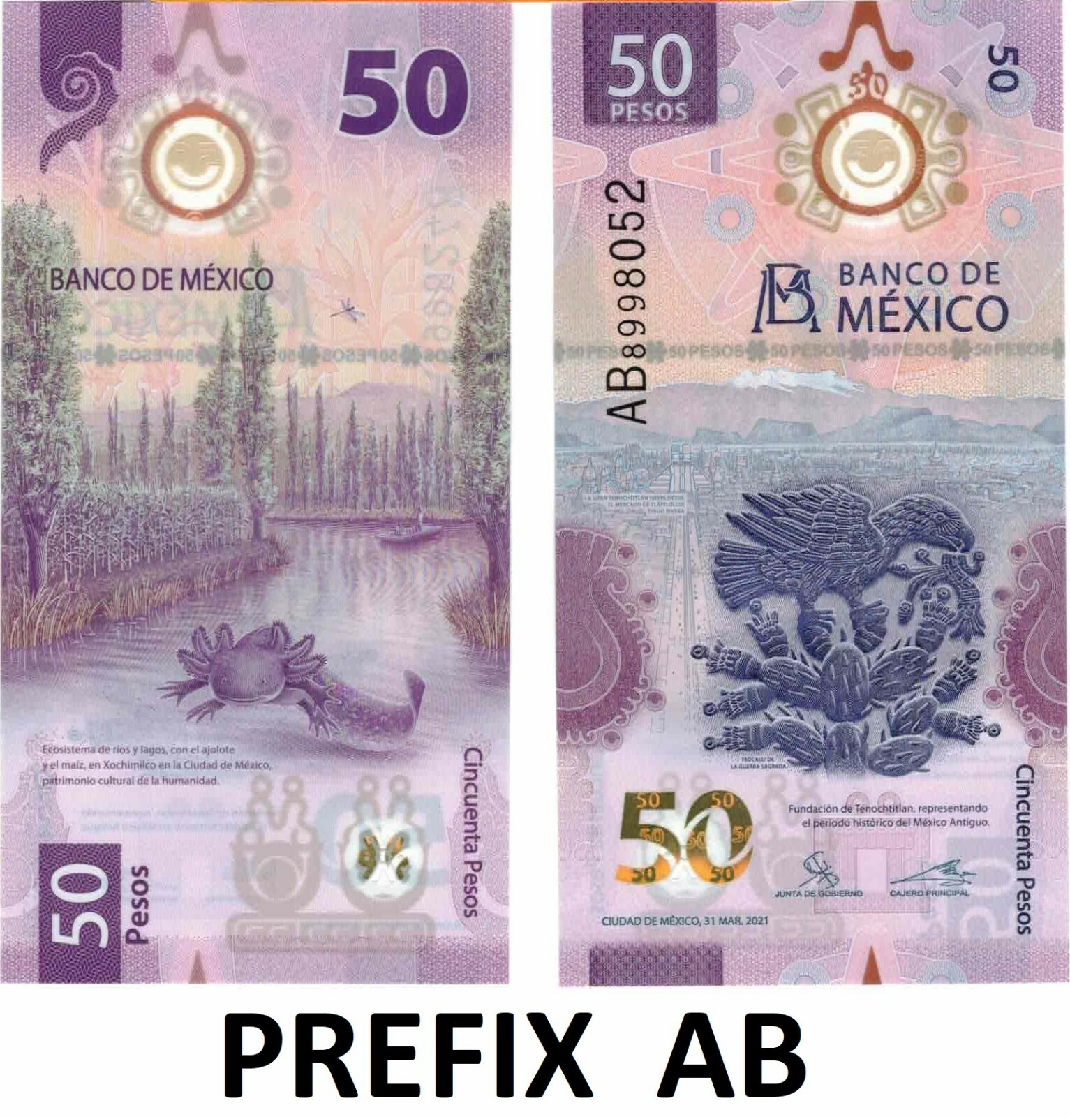 50 PESOS BILL MEXICO AXOLOTL BILLETE UNCIRCULATED - PREFIX AB -  FREE SHIPPING