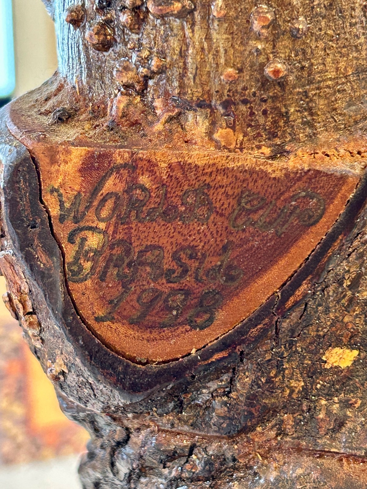 Burl Wood Bottle with Branch Handle from Parque Georgia Brazil - RARE Unusual!