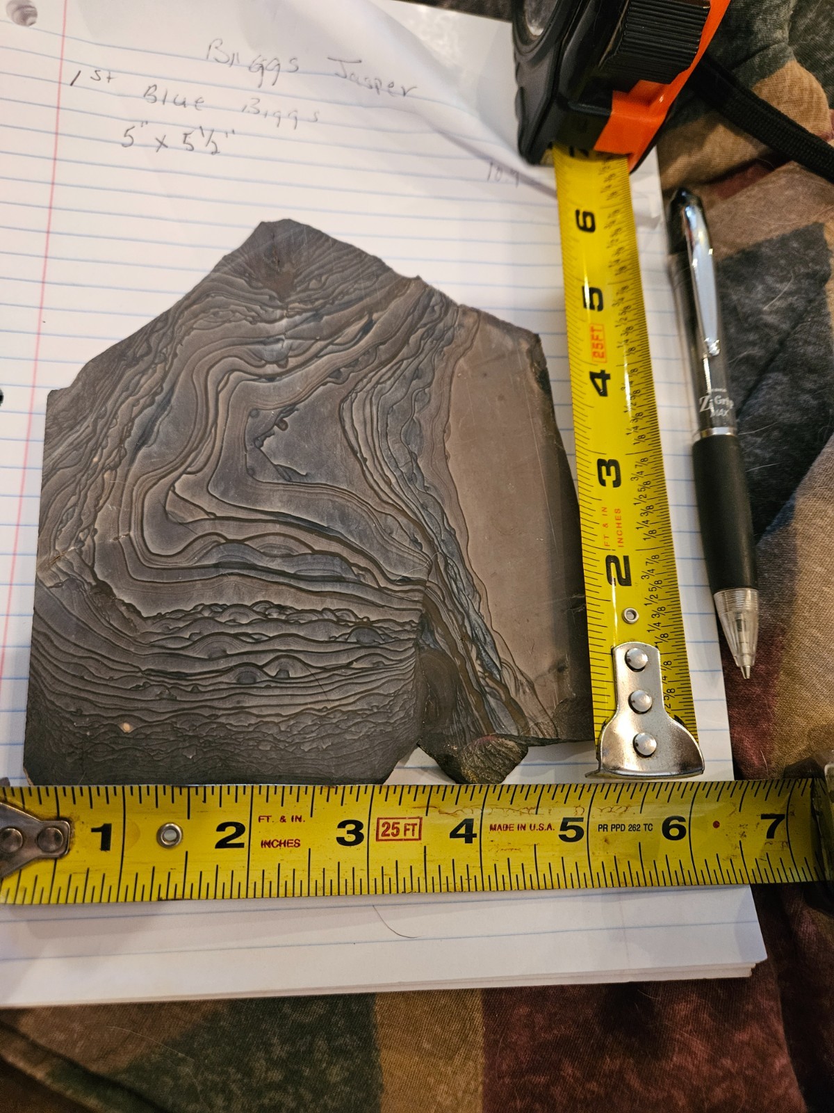 Rare Rare Rare AAA Grade High Polished Blue Biggs Picture Jasper Lapidary Slab,