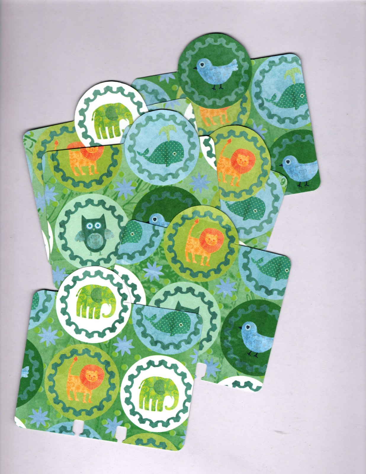 BOHO BOY (6 TABBED) MEMORYDEX/ROLODEX CARDS Double-Sided HANDMADE