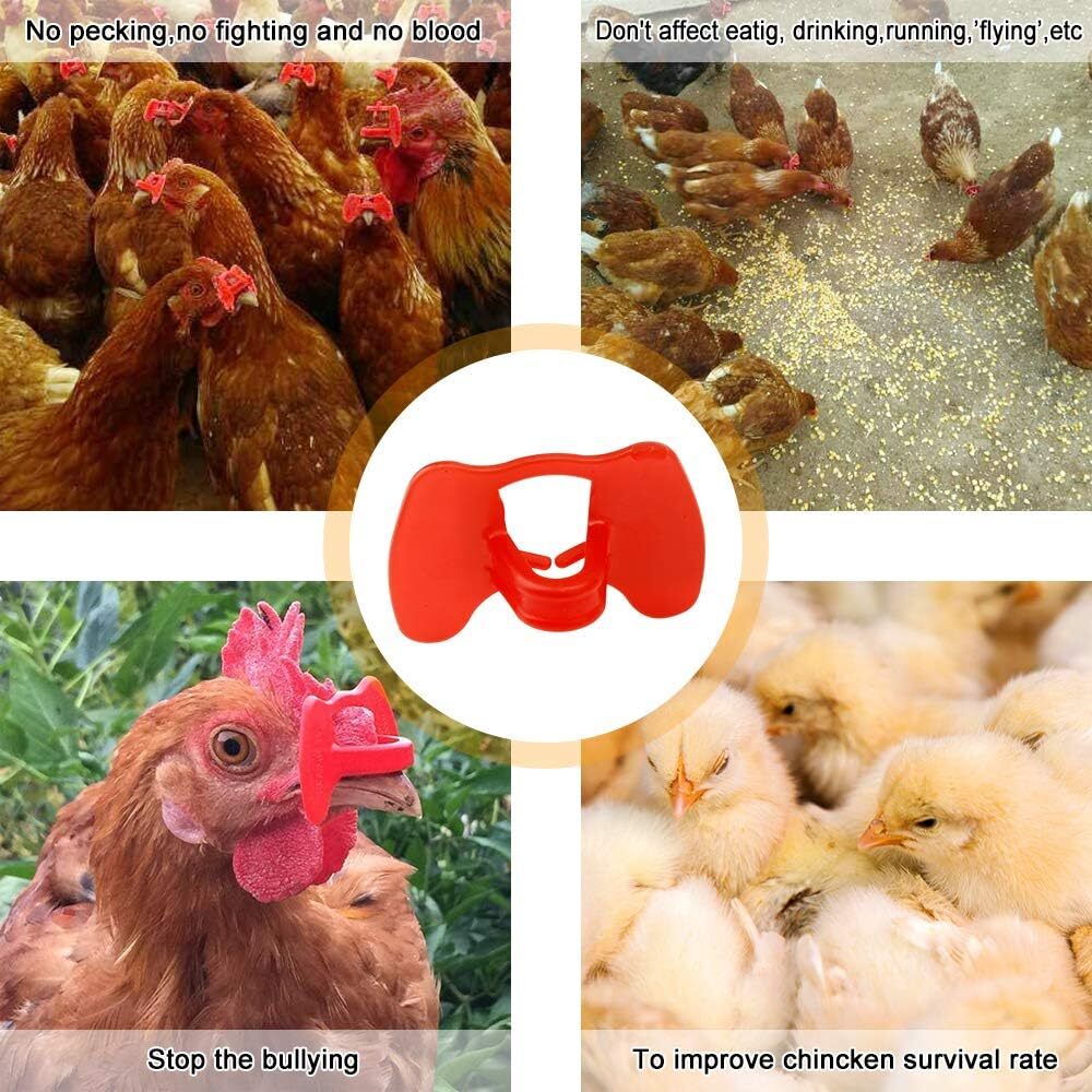 100PCS No Fighting Pinless Chicken Peepers Pheasant Poultry Blinders Spectacles