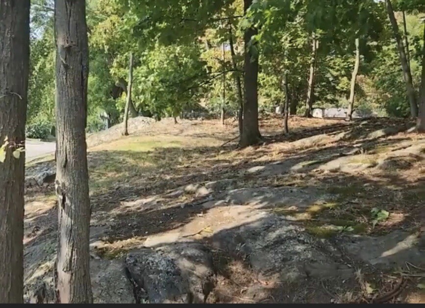 Salem Witch Hangings Historical Location Artifact with COA