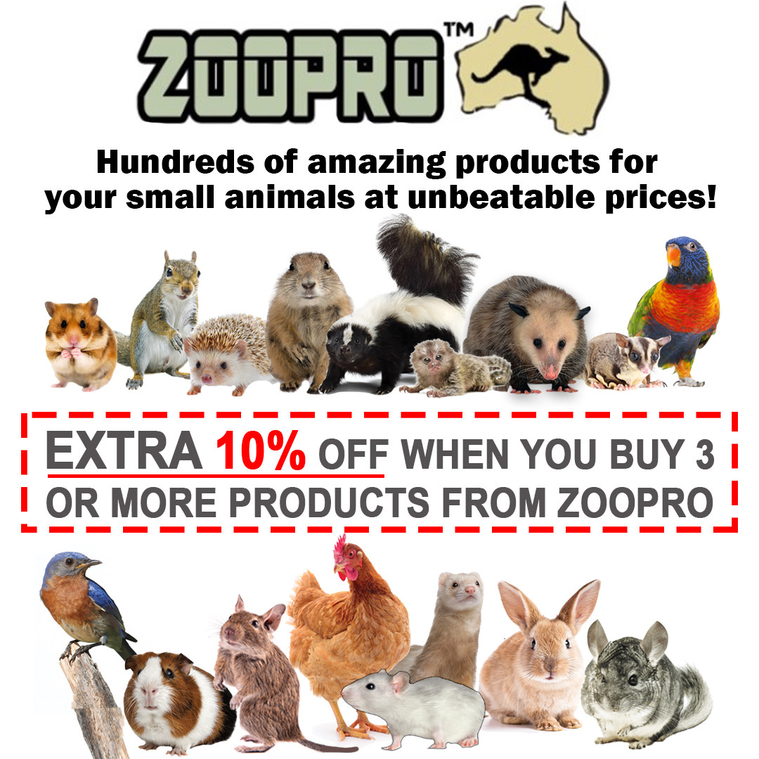 Xpand Tunnel - Cage Accessory - Sugar Glider, Hedgehog, Rat, Gerbil, Hamster