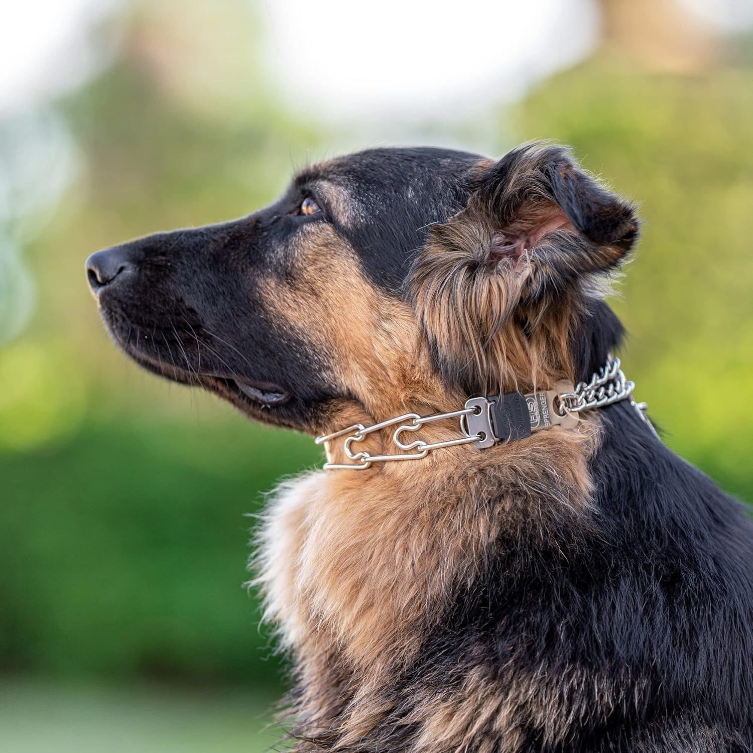 USED-Sprenger-Stainless Steel Training Dog Collar w/ClicLock Buckle-2.25mm/16"