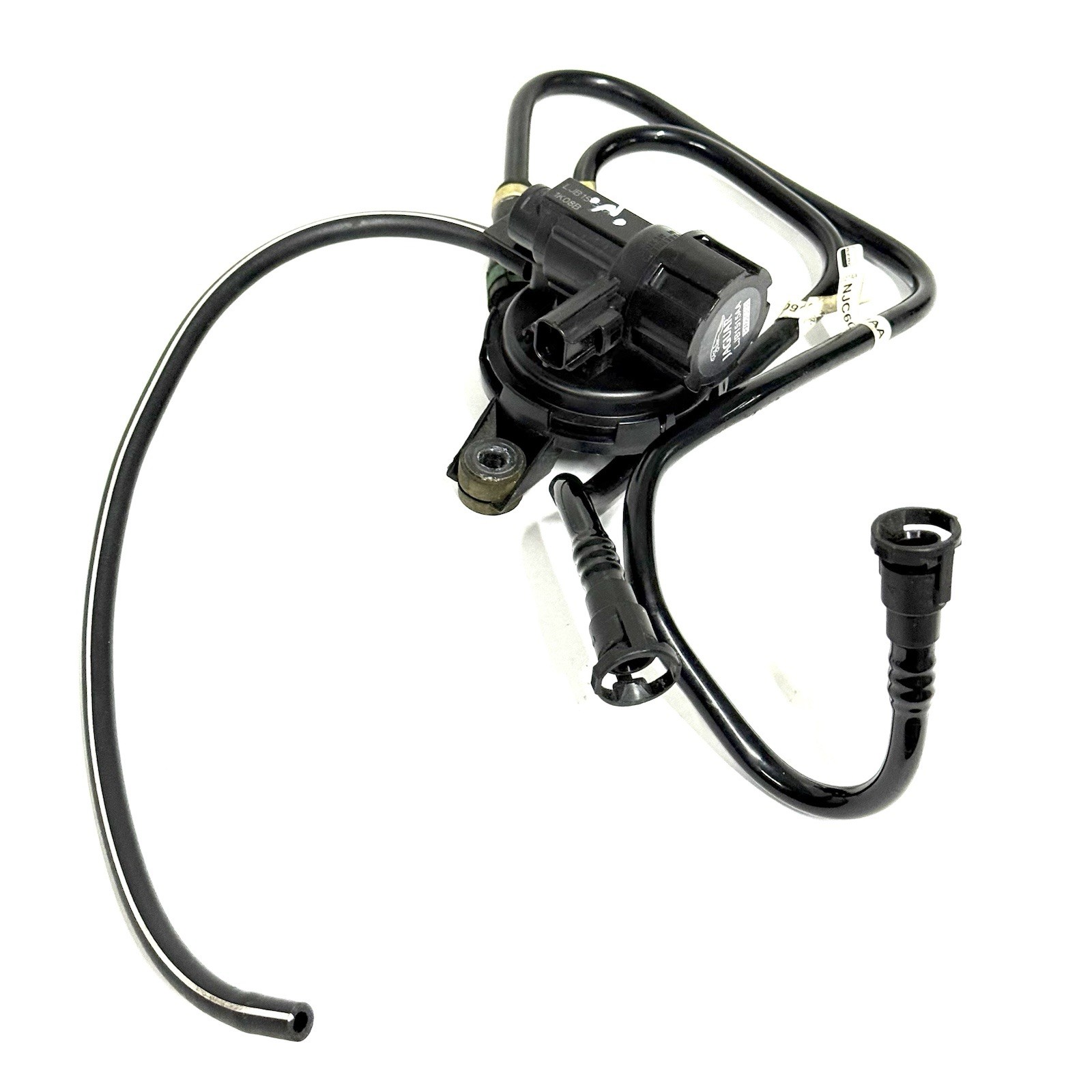 97-06 Jaguar X100 XK8 XKR Gas Vapor Evap Purge Valve w/ Tube LJB1515AA OEM 45K