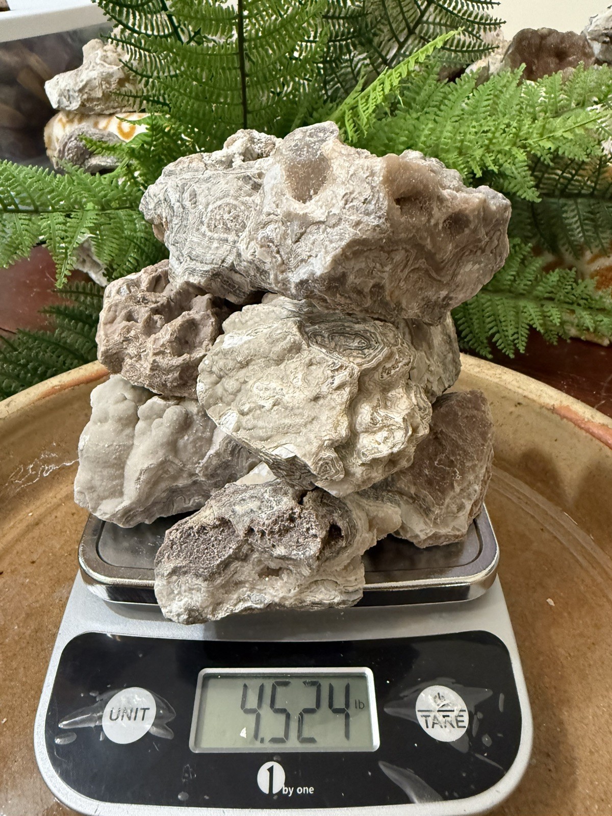 Crazy Lace Agate, Rough Lace Agate From Summerville Ga 10lbs Lot