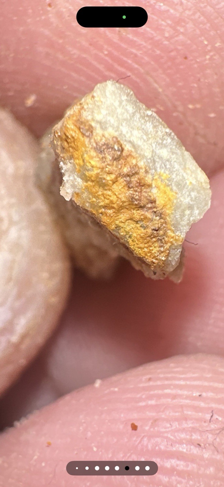 PayStreak™ Gold Ore —🔥 5 lbs 🔥Vein Quartz w/ REAL Visible Gold!