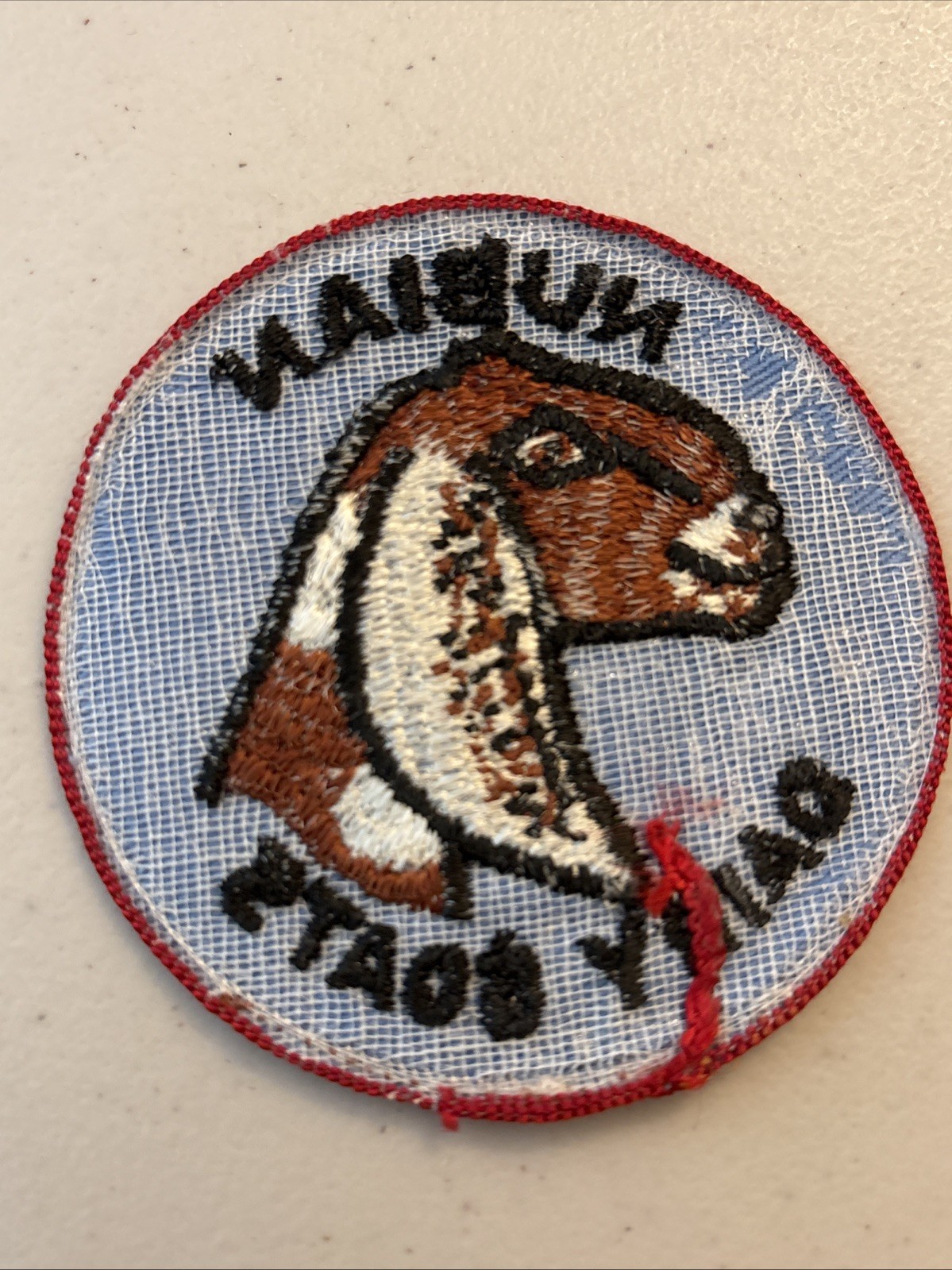 Vintage Nubian Dairy Goats 3in Patch Used Free Shipping