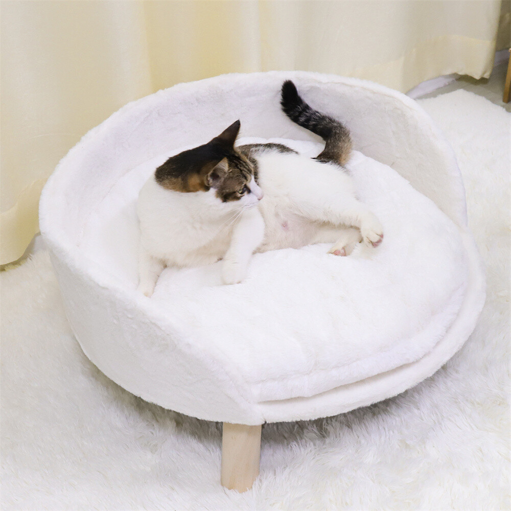 Modern Pet Sofa Low Back Lounging Bed With Removable Cushion Pillow For Dog Cat