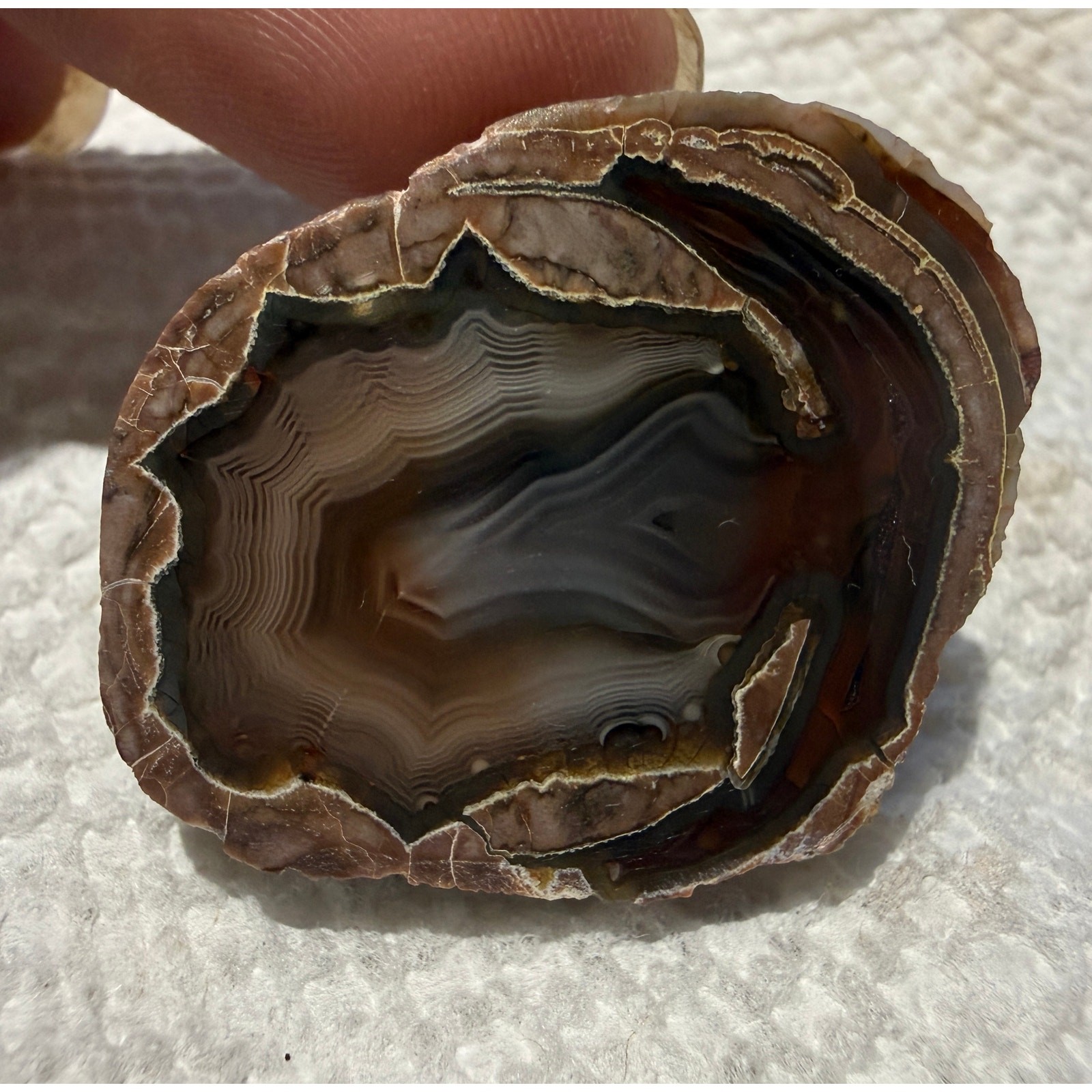 Baker Ranch Thunder Egg Agate Geode Polished Half Nodule Parallax Shadows
