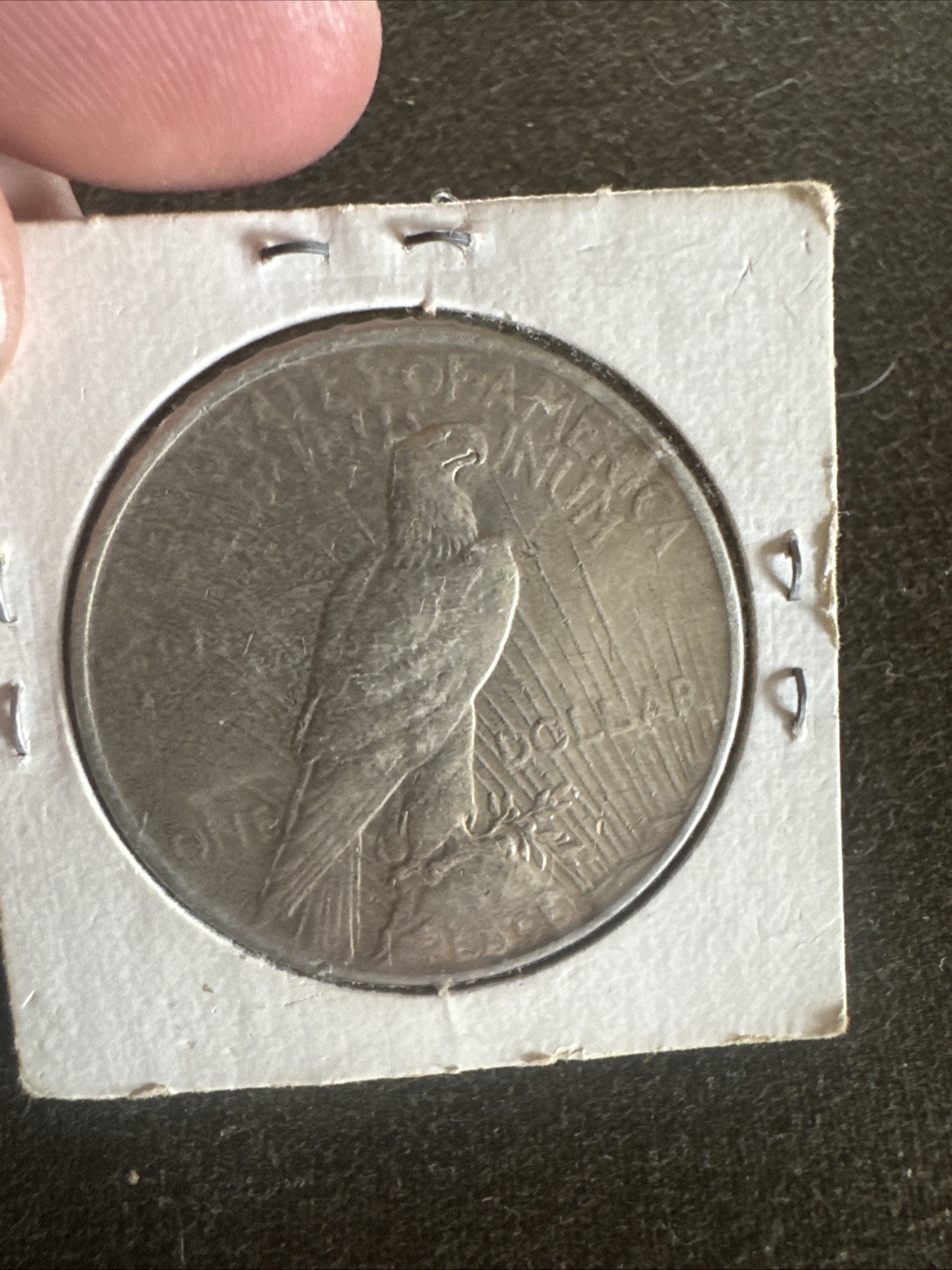 Peace Silver $1 Dollar Pack of 4