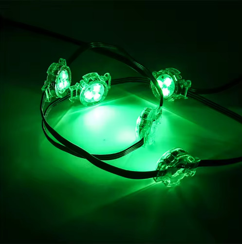 permanent outdoor lights 100ft